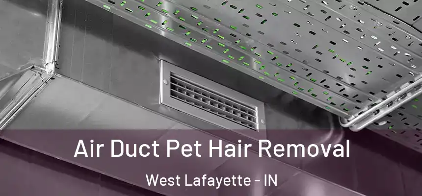  Air Duct Pet Hair Removal West Lafayette - IN