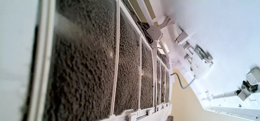 Preventive Air Duct Bacteria Removal in West Lafayette