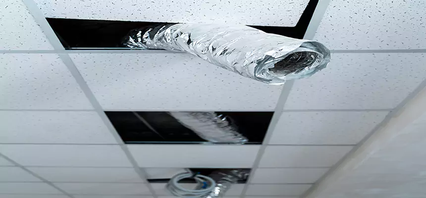 Our Air Duct Pet Hair Removal Services in West Lafayette, IN