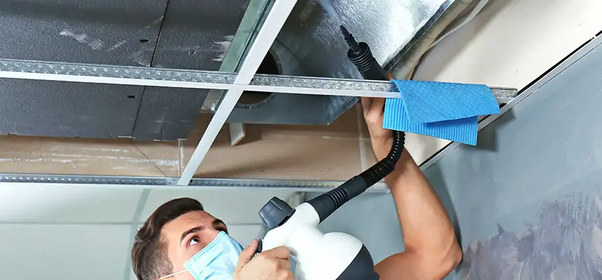 Our Air Duct Rodent Removal Services in West Lafayette, IN