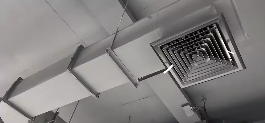 Our Pest Removal From Ducts Services in West Lafayette, IN