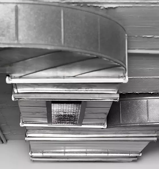 Professional Air Duct Pest Removal in West Lafayette, IN