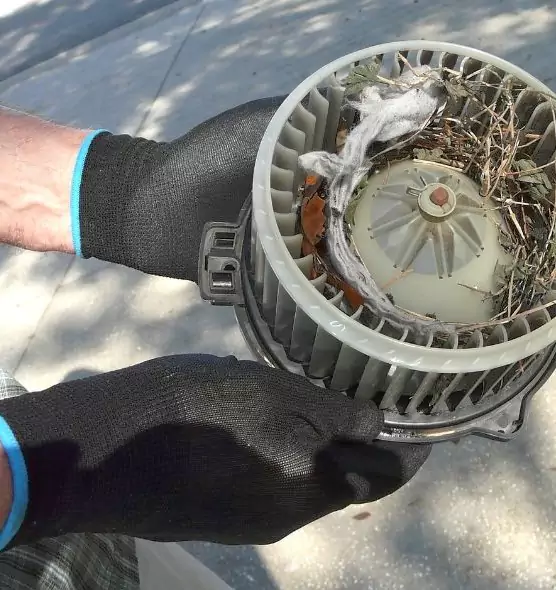 About Air Duct Rat Removal in West Lafayette, IN