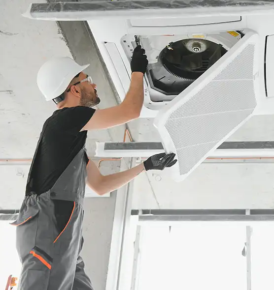 About Air Duct Rodent Removal in West Lafayette, IN