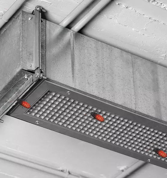 Affordable Insect Removal from Air Ducts in West Lafayette, IN