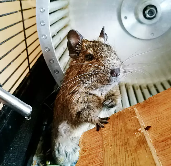 Why Homeowners & Businesses Trust Us West Lafayette, IN?